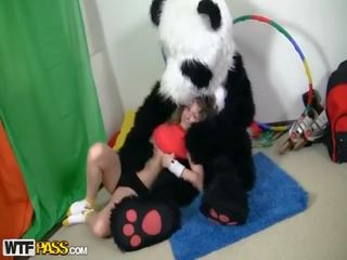 Sportief wellustig tiener eikels met betrekking grappig panda