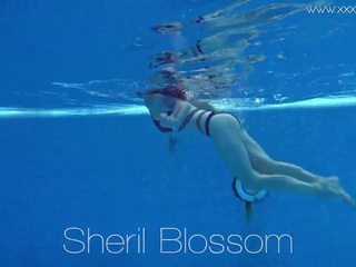 Sheril blossom kiváló orosz vízalatti, hd x névleges videó bd