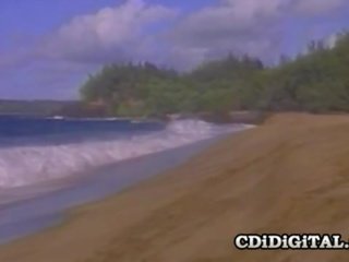 Kascha - prsatá puma mající x jmenovitý film na the pláž