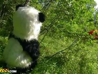 קטן אדום ברכיבה מכסה מנוע מזיין עם panda ב ה עֵץ סרט